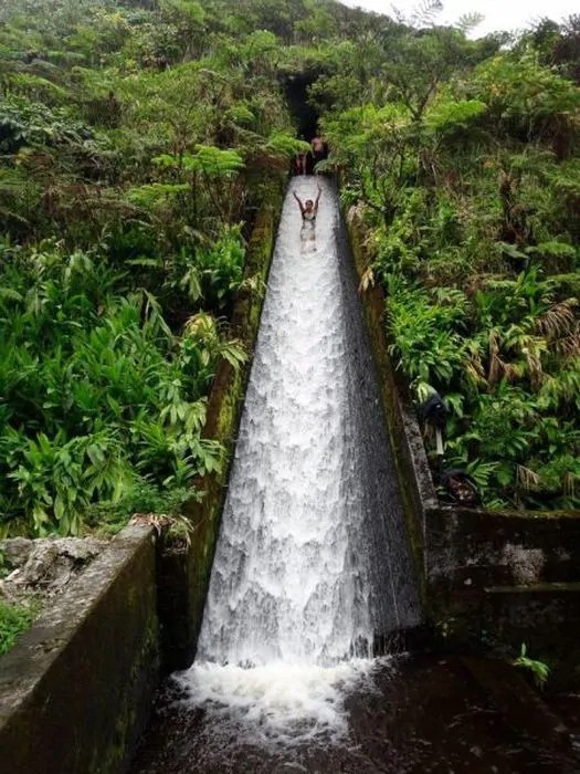 Forest Water Slide