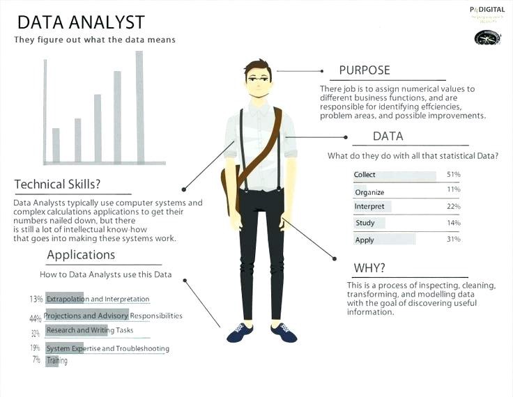 Data Analyst Job Description India Dictionary