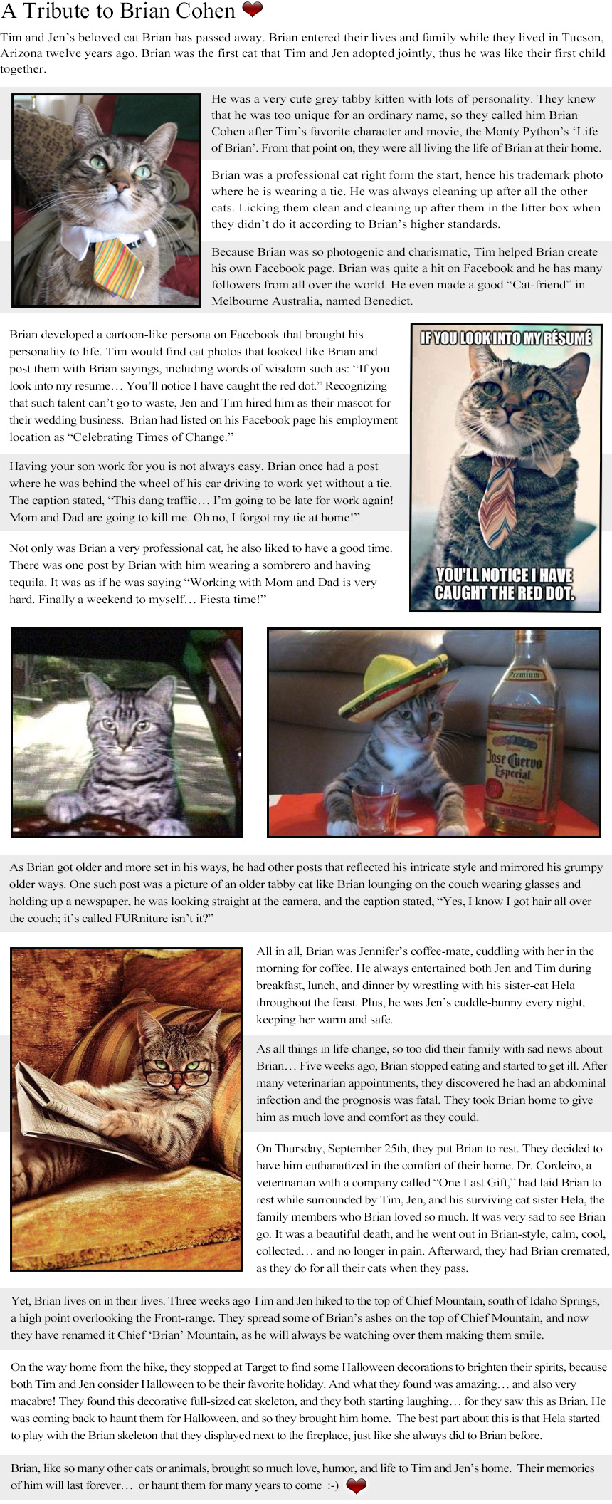 one last gift euthanasia