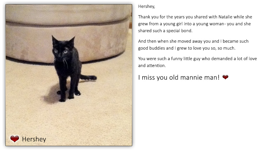 ONE LAST GIFT 15 Photos & 34 Reviews Erie, CO,.