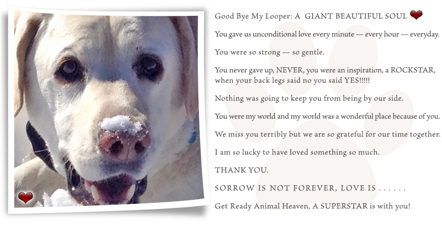 ONE LAST GIFT 15 Photos & 34 Reviews Erie, CO Yelp