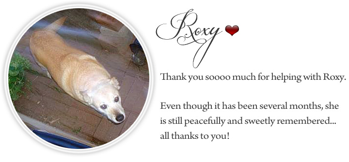 Home Pet Euthanasia Colorado, One Last Gift pinterest.com