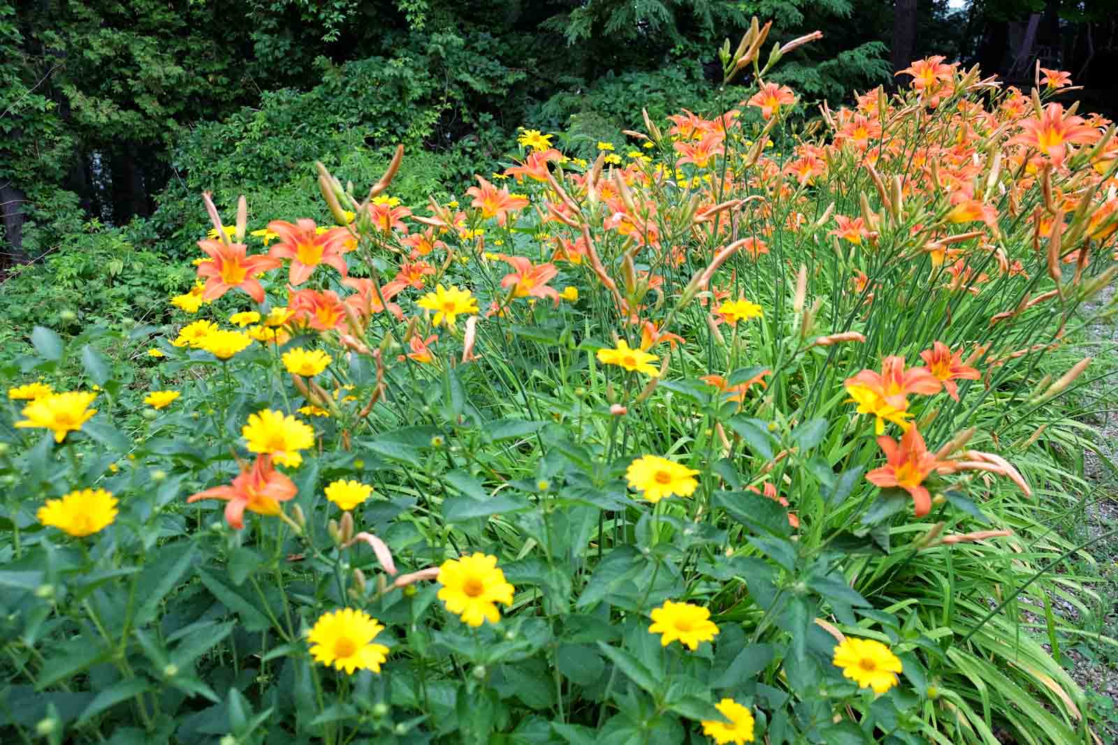 History 1 Little Silver Lake