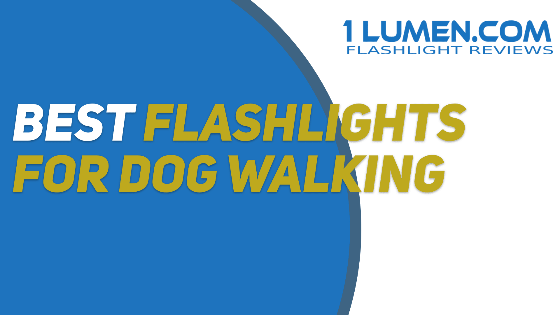 Flashlights for walking the dog Our top picks after reviewing 700