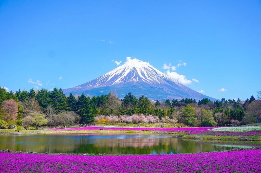 Climbing the Clouds 50 Fascinating Facts About Mount Fuji