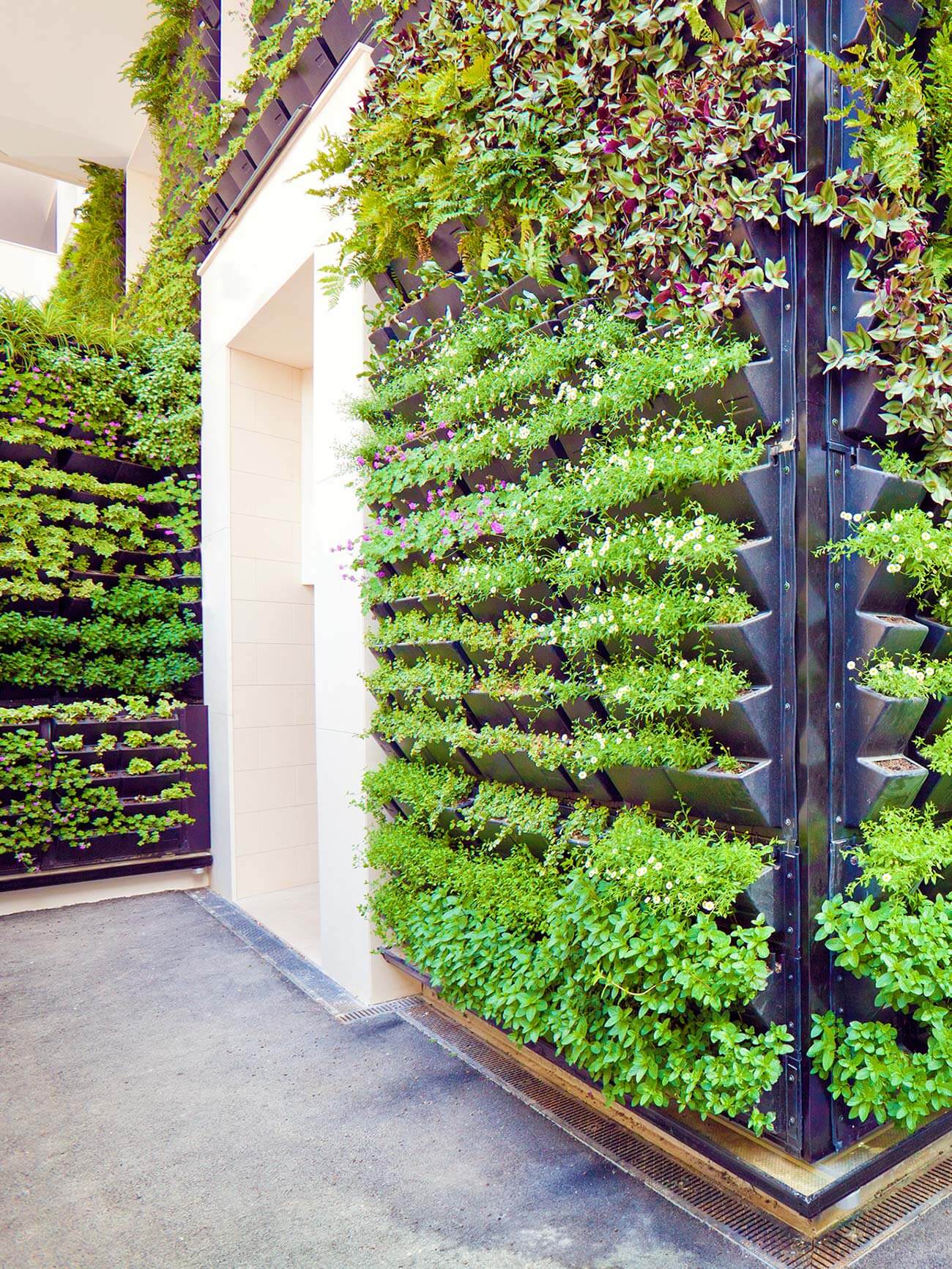The 20 Best Vegetable Garden Layouts To Try