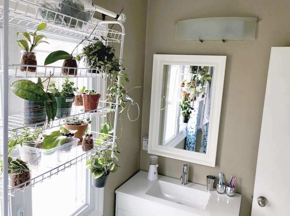33 Enchanting Bathroom Plant Shelf Ideas