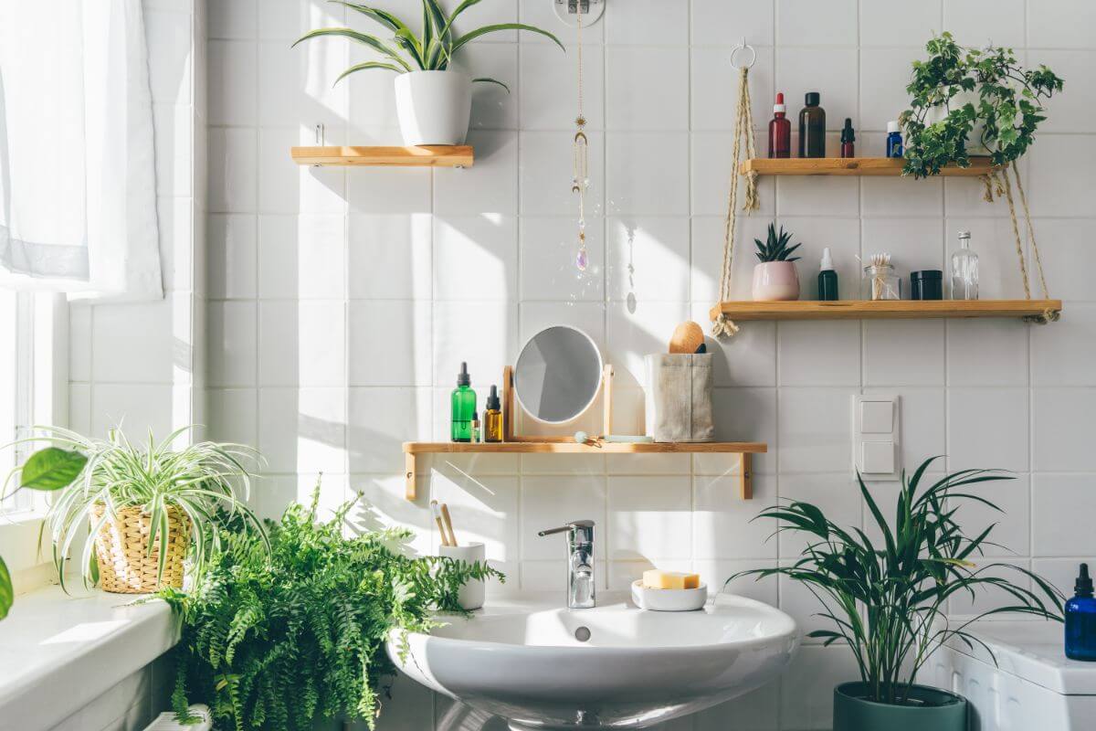 33 Enchanting Bathroom Plant Shelf Ideas