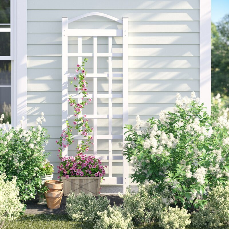 The Secrets Of A Picturesque Trellis Landscape Revealed(04)