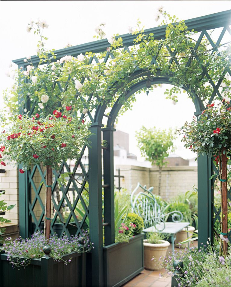 The Secrets Of A Picturesque Trellis Landscape Revealed