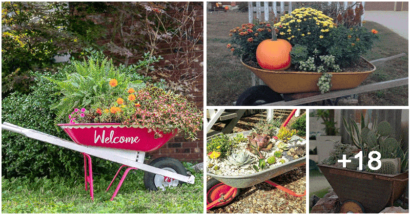 22 Fabulous Wheelbarrow Planter Ideas