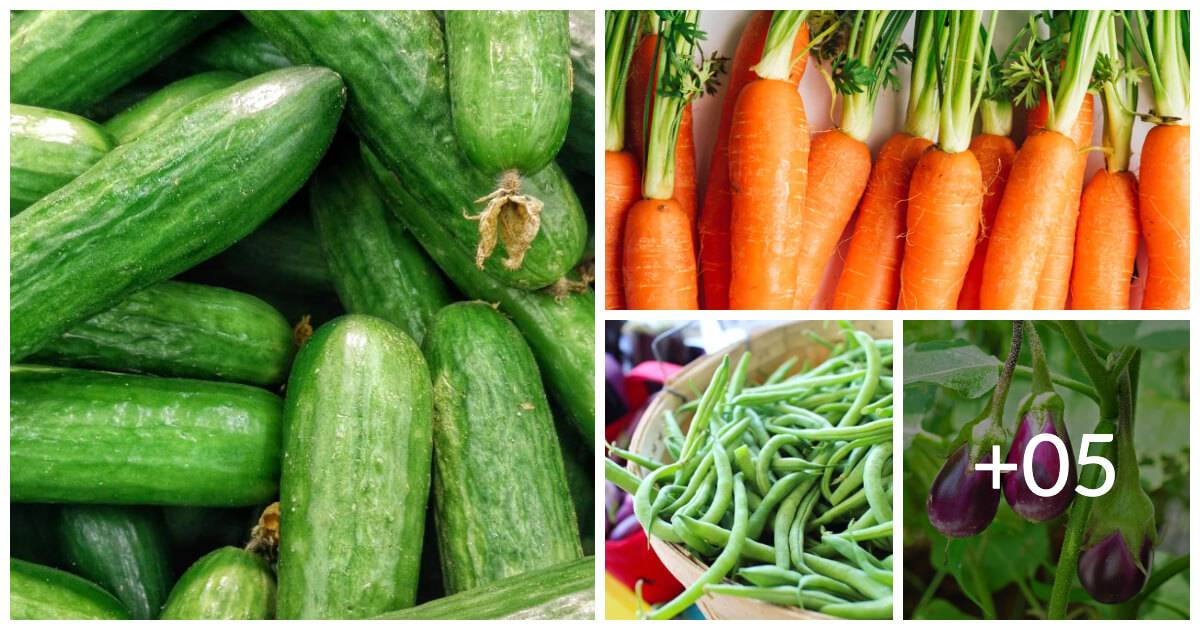 The 10 Best Summer Vegetables For Your Diet