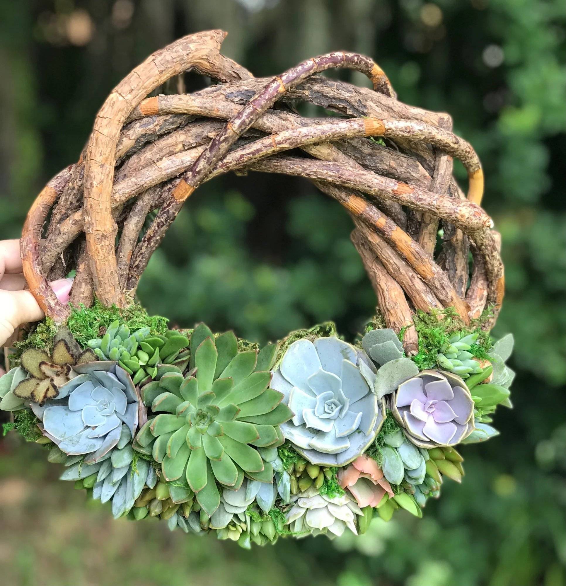 Rustic Charm Meets Greenery With 17 Wooden Succulent Plant Ideas