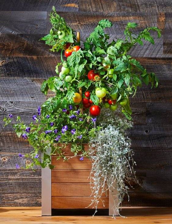 16 Container Vegetable Garden Ideas For Urban Gardeners
