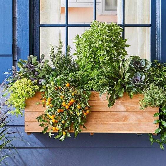 16 Container Vegetable Garden Ideas For Urban Gardeners