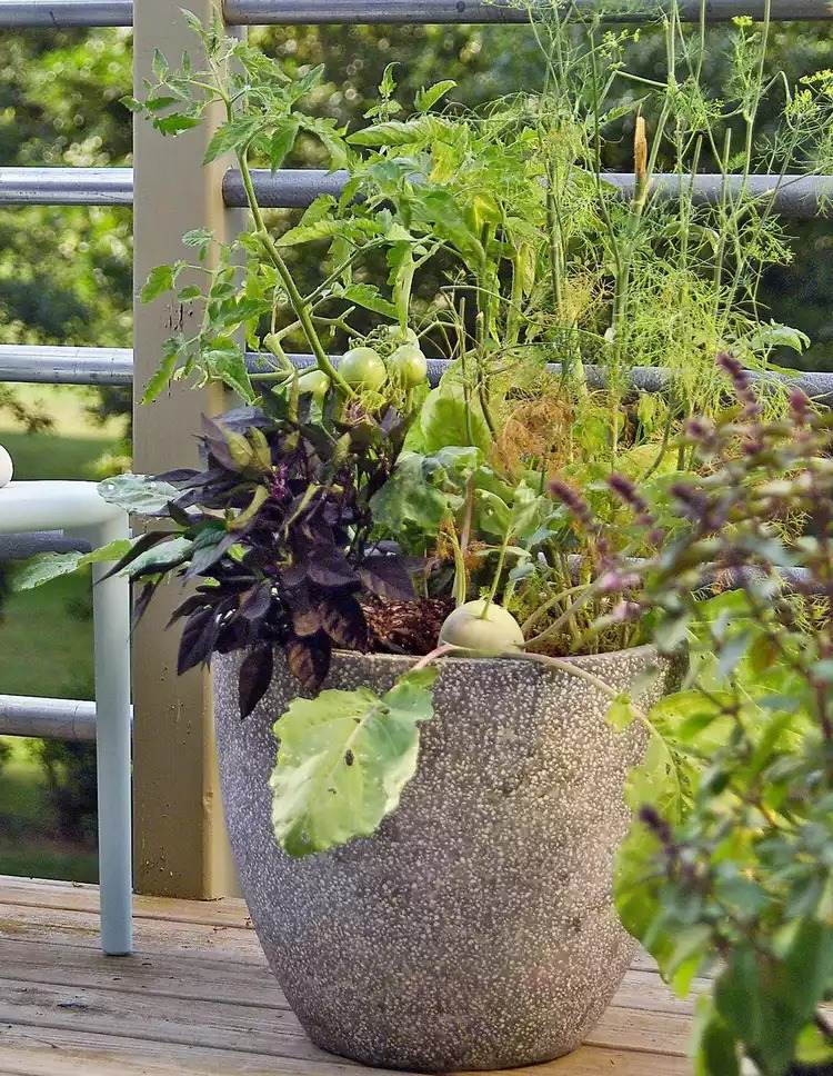 16 Container Vegetable Garden Ideas For Urban Gardeners