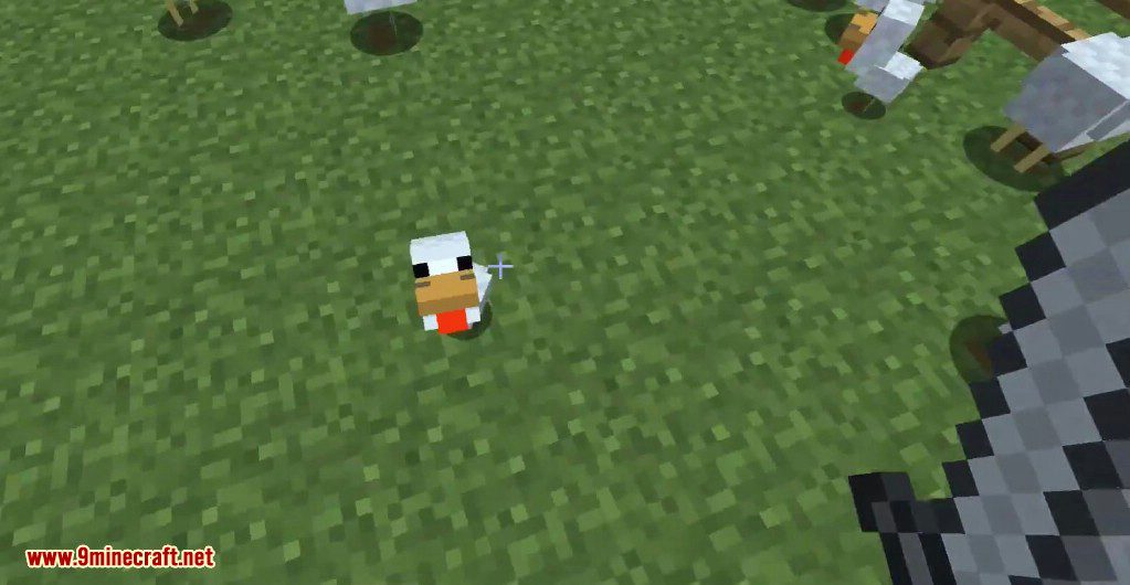 Chickenshed Mod 1Minecraft