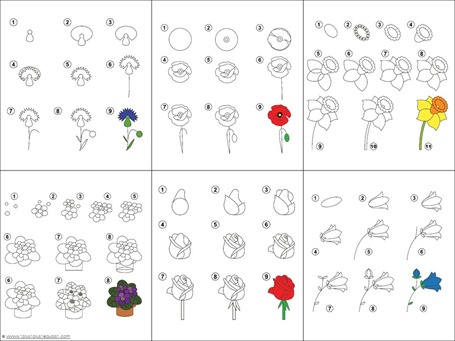 Drawing Flowers Step By Pdf | Best Flower Site