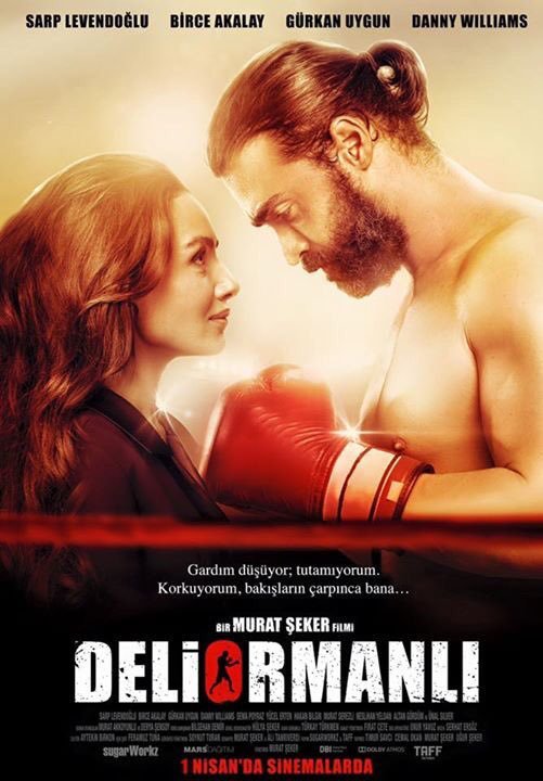 Сумасшедший лесник / Deliormanli Все серии (2016) смотреть онлайн