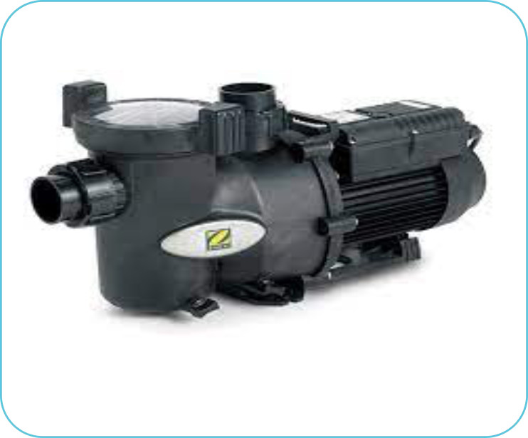 Zodiac Pool Pumps 1poolcare
