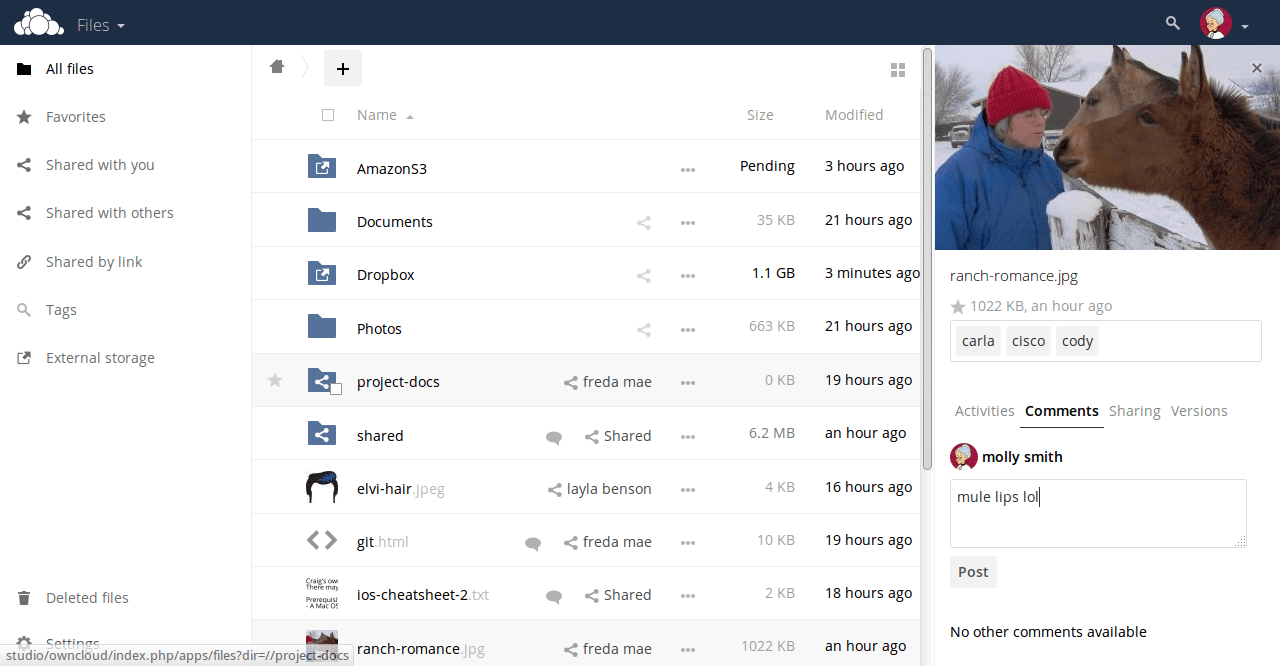 Ditch iCloud, Build your Own Secure Cloud Storage Service