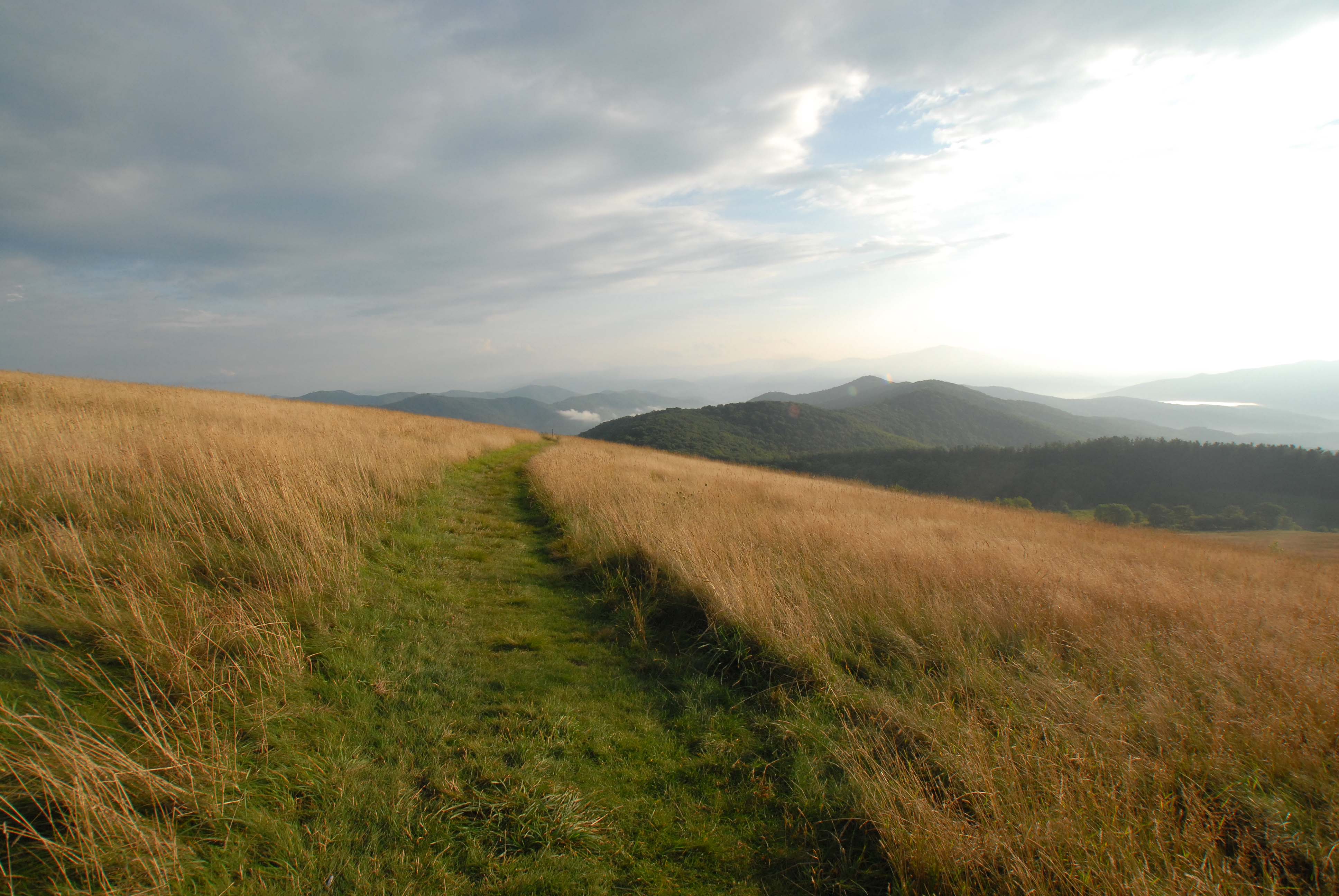 Maggie Valley Real Estate & Waynesville Real Estate 1st Choice Maggie