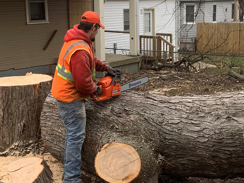 Tree Service Dayton, Ohio 1st Choice R and R Tree Service
