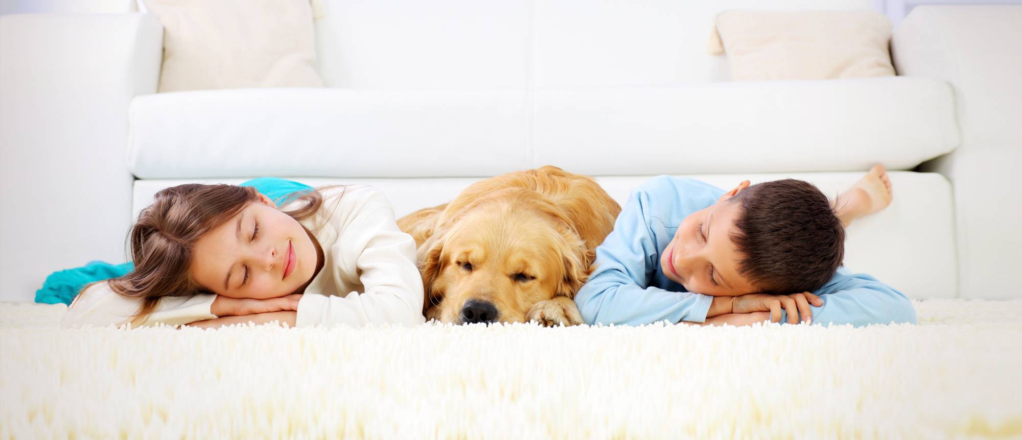 Carpet & Upholstery Cleaning New Hudson MI 1st Class Carpet Cleaning