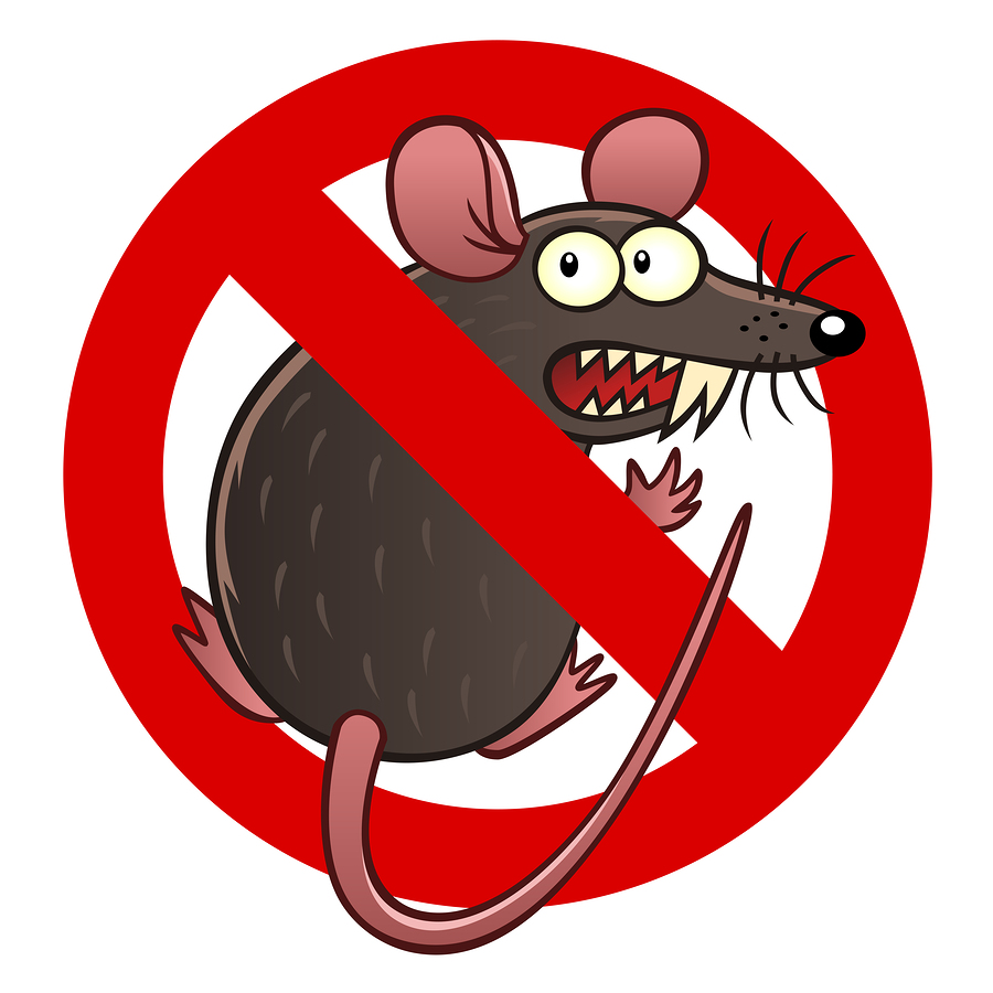 Keep Your Home Free of Rodents and Rodent Damage in WA