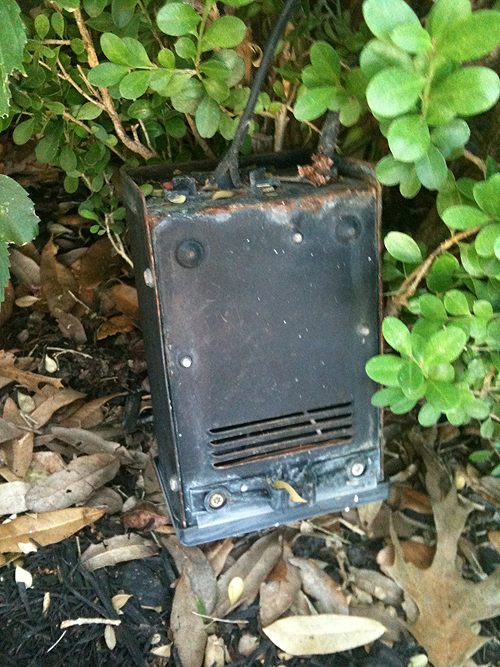 how did I not know it was there?! [day 124] jody wissing