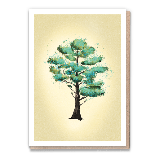 Scots Pine (naked) x6 1 Tree Cards Wholesale