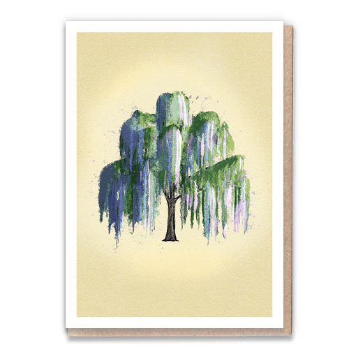 Willow (naked) x6 1 Tree Cards Wholesale