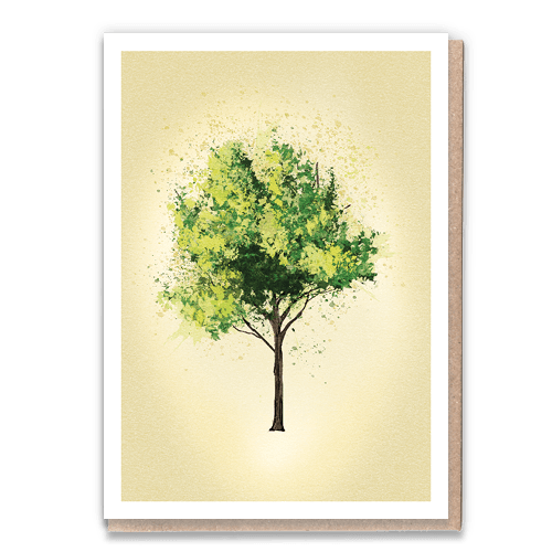 Ash (naked) x6 1 Tree Cards Wholesale