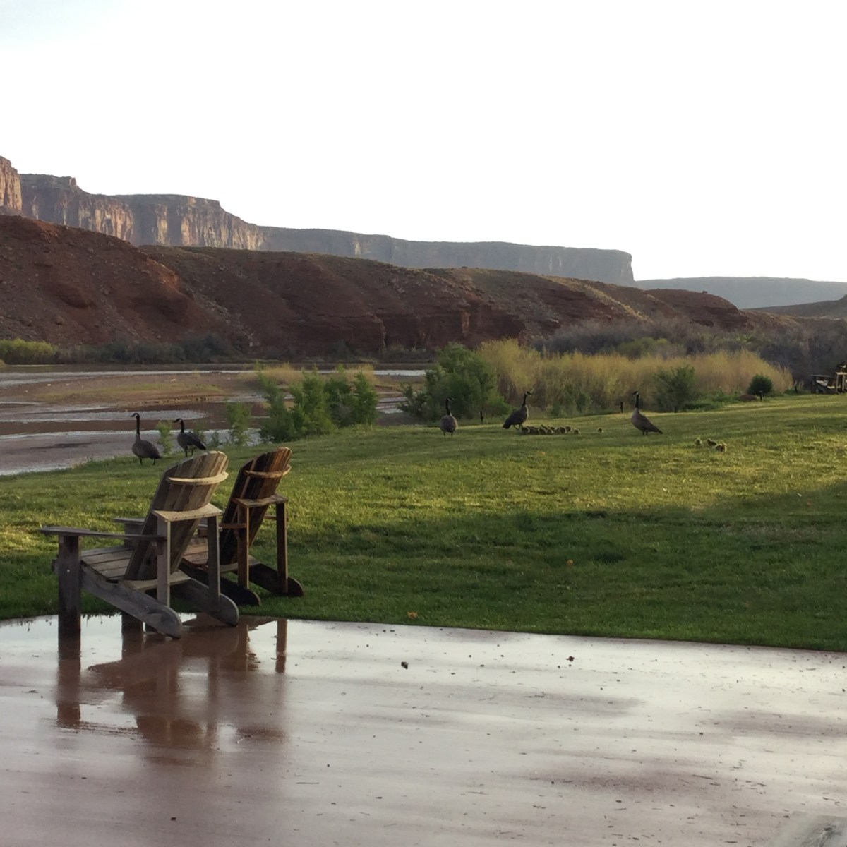 Top 8 best and worst restaurants in Moab, Utah. 1 Truewolf Travels