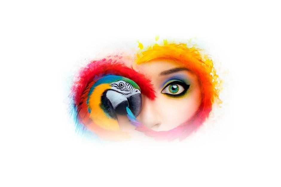 Can Lightroom Read Sony Raw Files Lightroom 5 7 1 Adds Sony A7ii