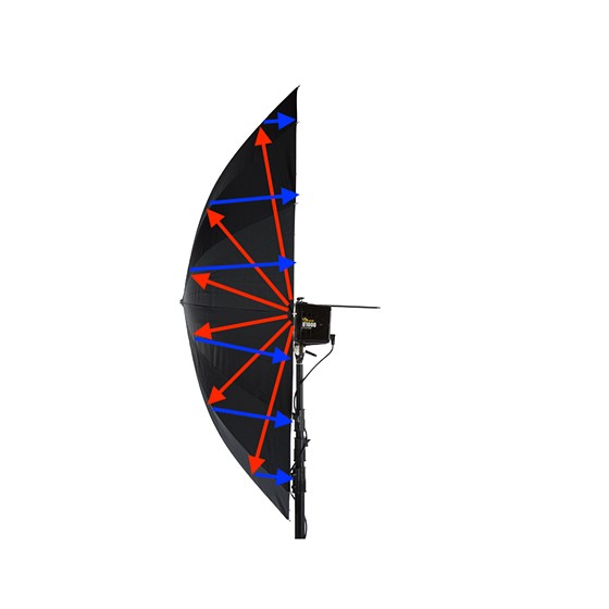 Deep Parabolic vs Softbox with Grid Studio and Lighting Technique