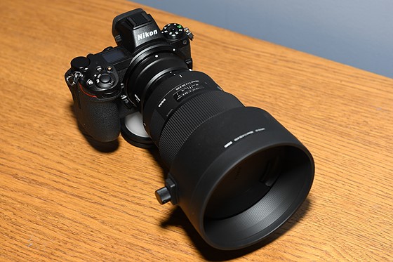 Z6 w/Sigma 105mm 1.4 Art Mounted Nikon Z Mirrorless Talk Forum