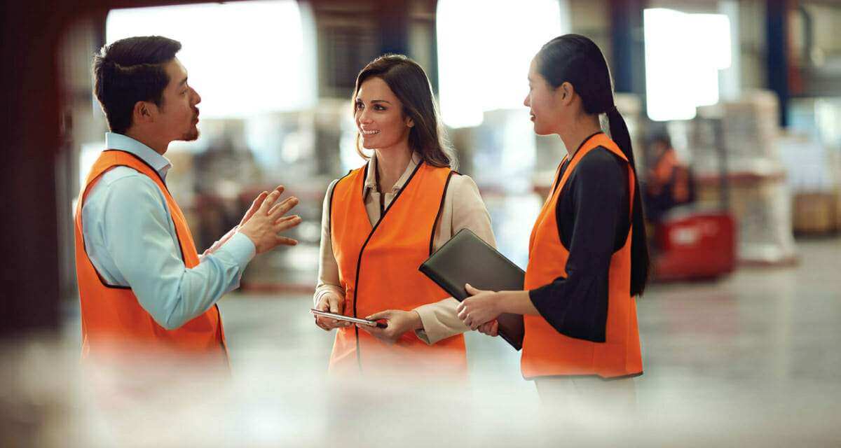 Overview Goodman Annual Report 2019