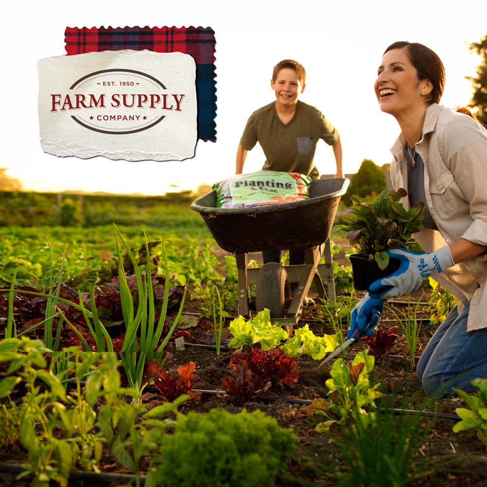 Farm Supply Company 2020 Creative Group
