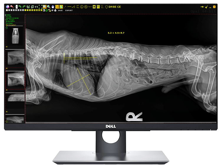 Complete Veterinary Digital XRay System with DR Panel