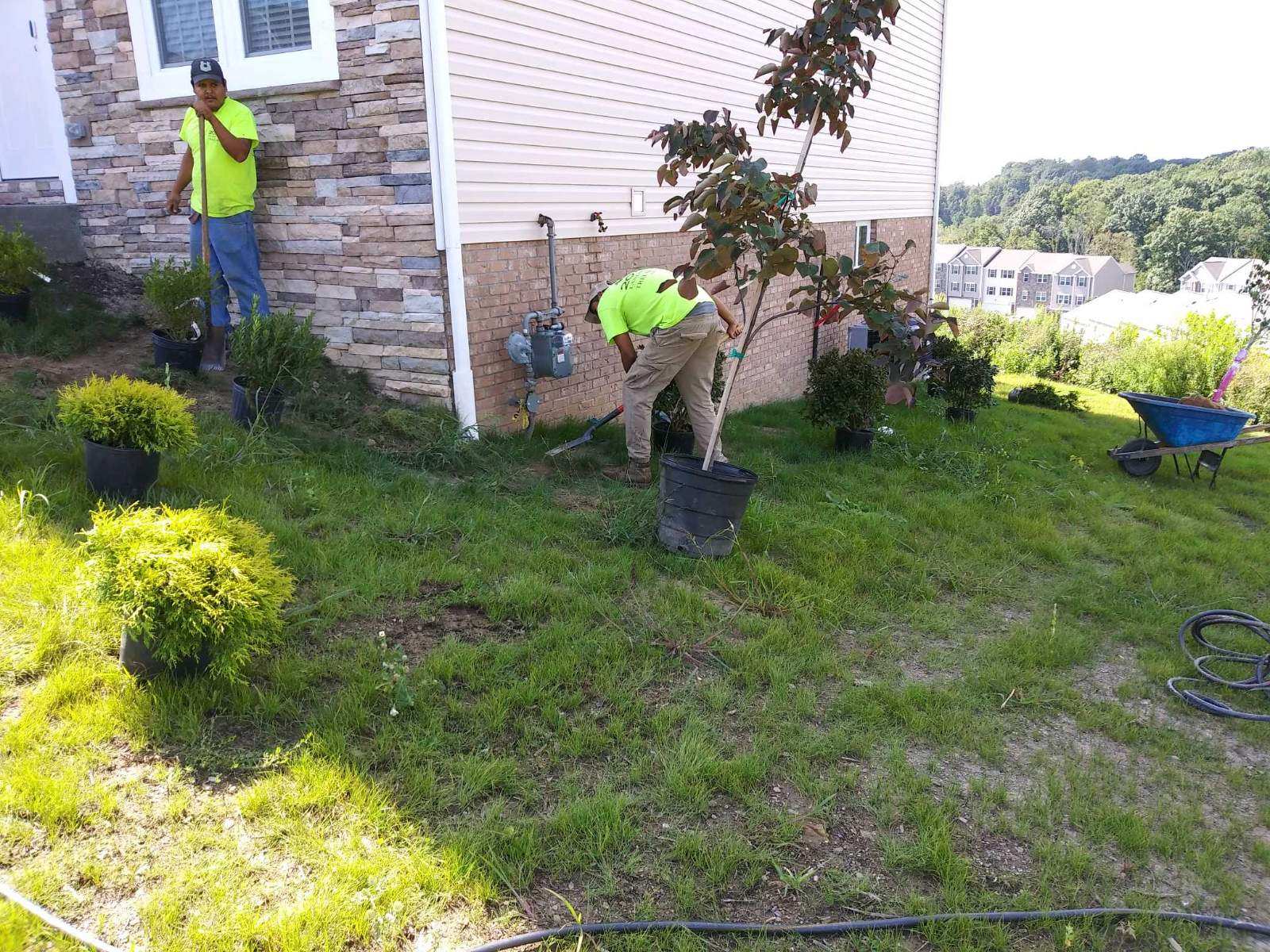 Pittsburgh Landscape Design & Landscaping Service 20/20 Landscaping