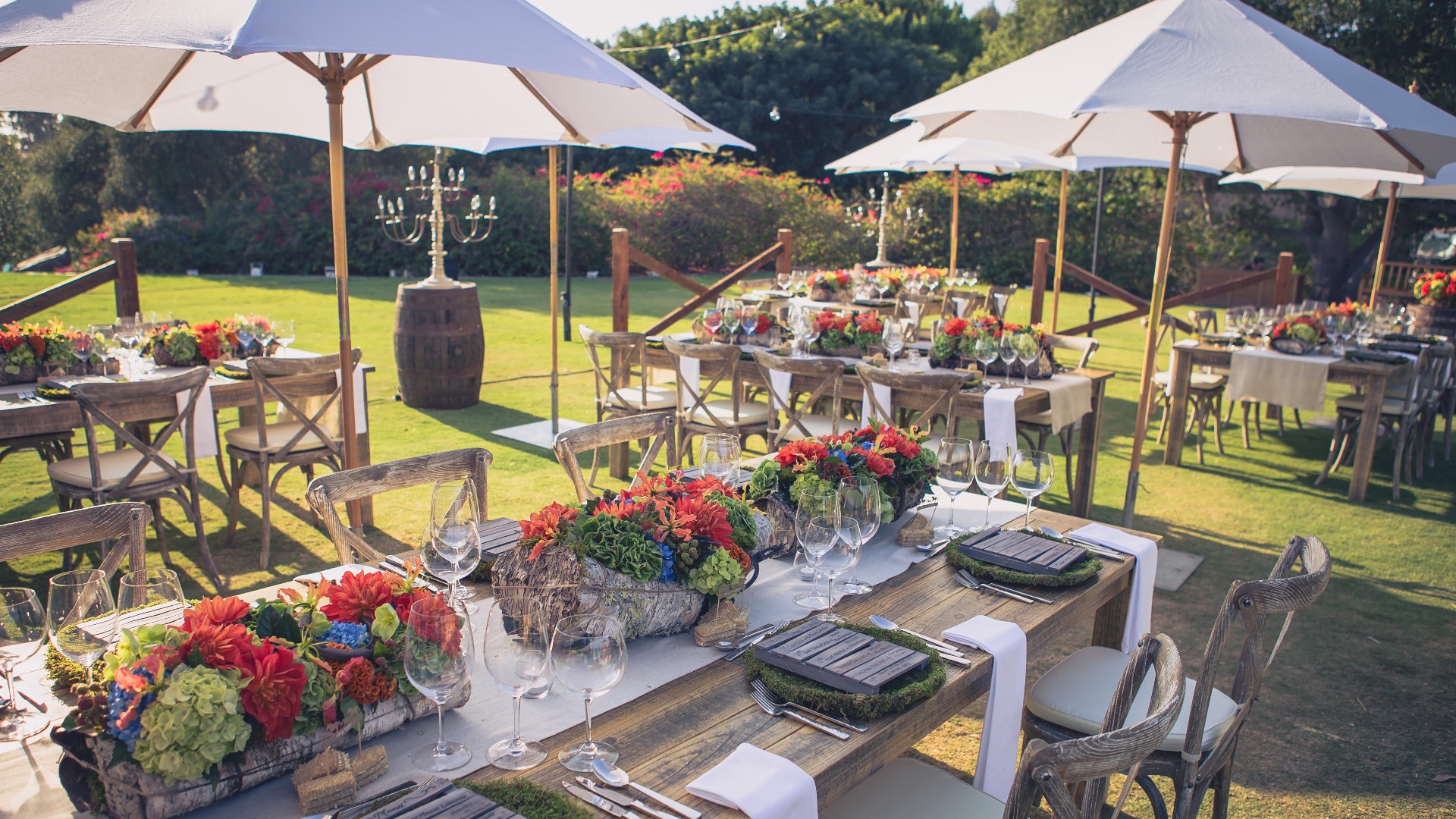 204 Events Event Rentals, Innovative Lighting Solutions & Modern Décor