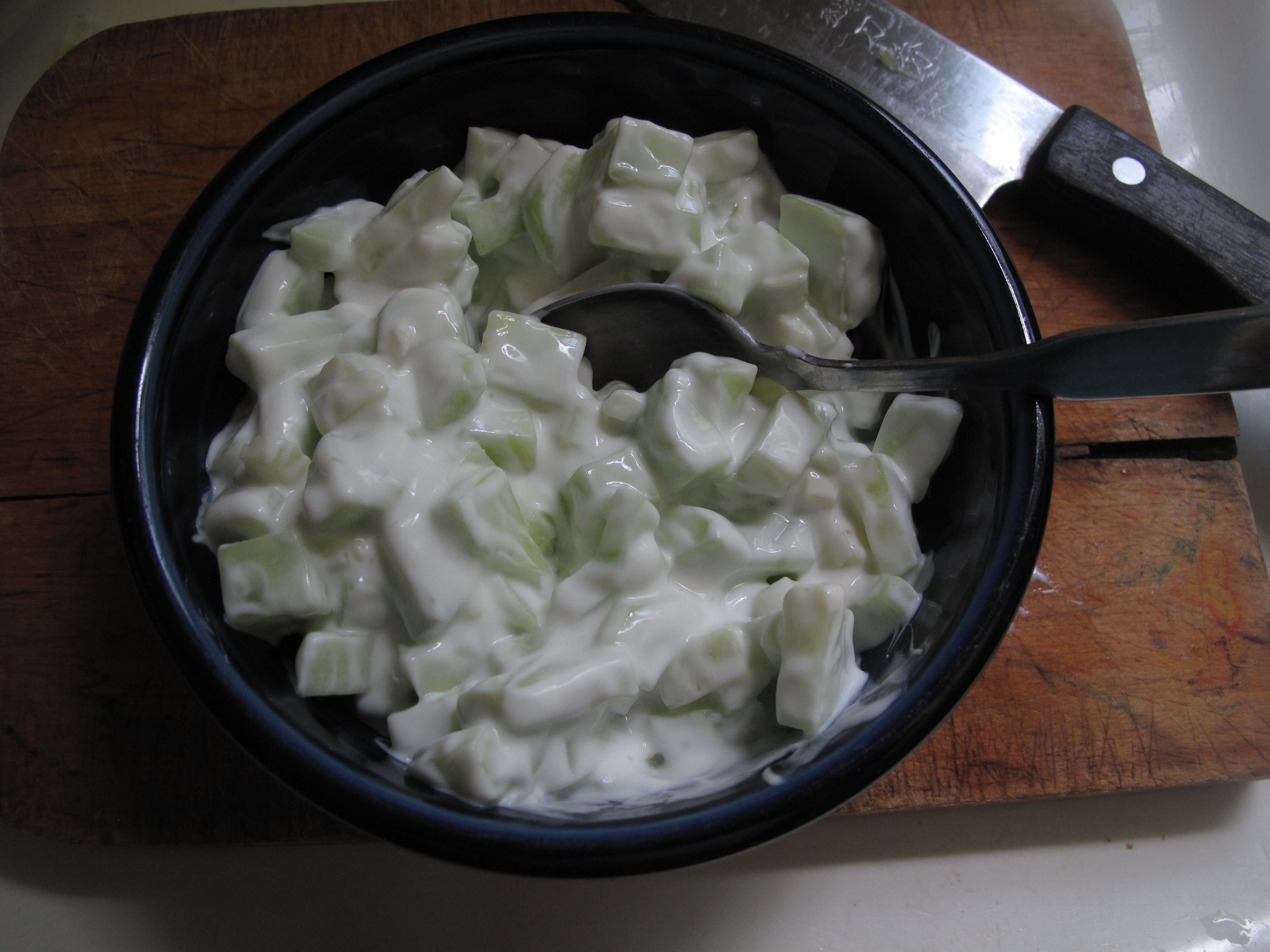 Tzatziki Salad from Homegrown Cucumbers Our Twenty Minute Kitchen