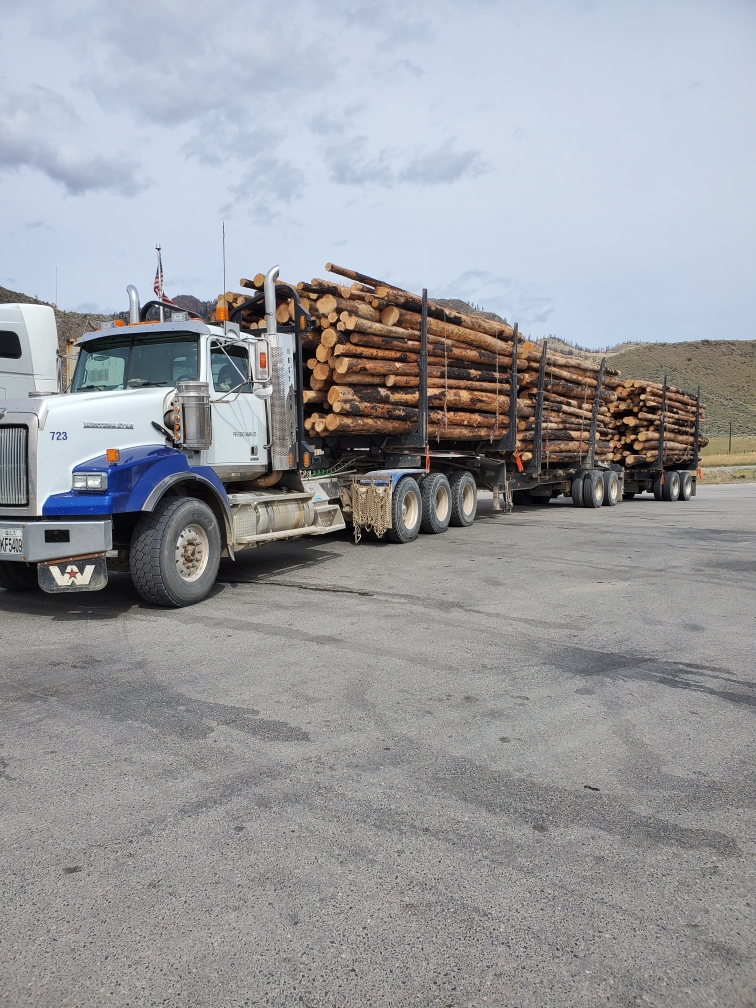 216 Enterprises Your trusted source for Logging, Excavation, Trucking