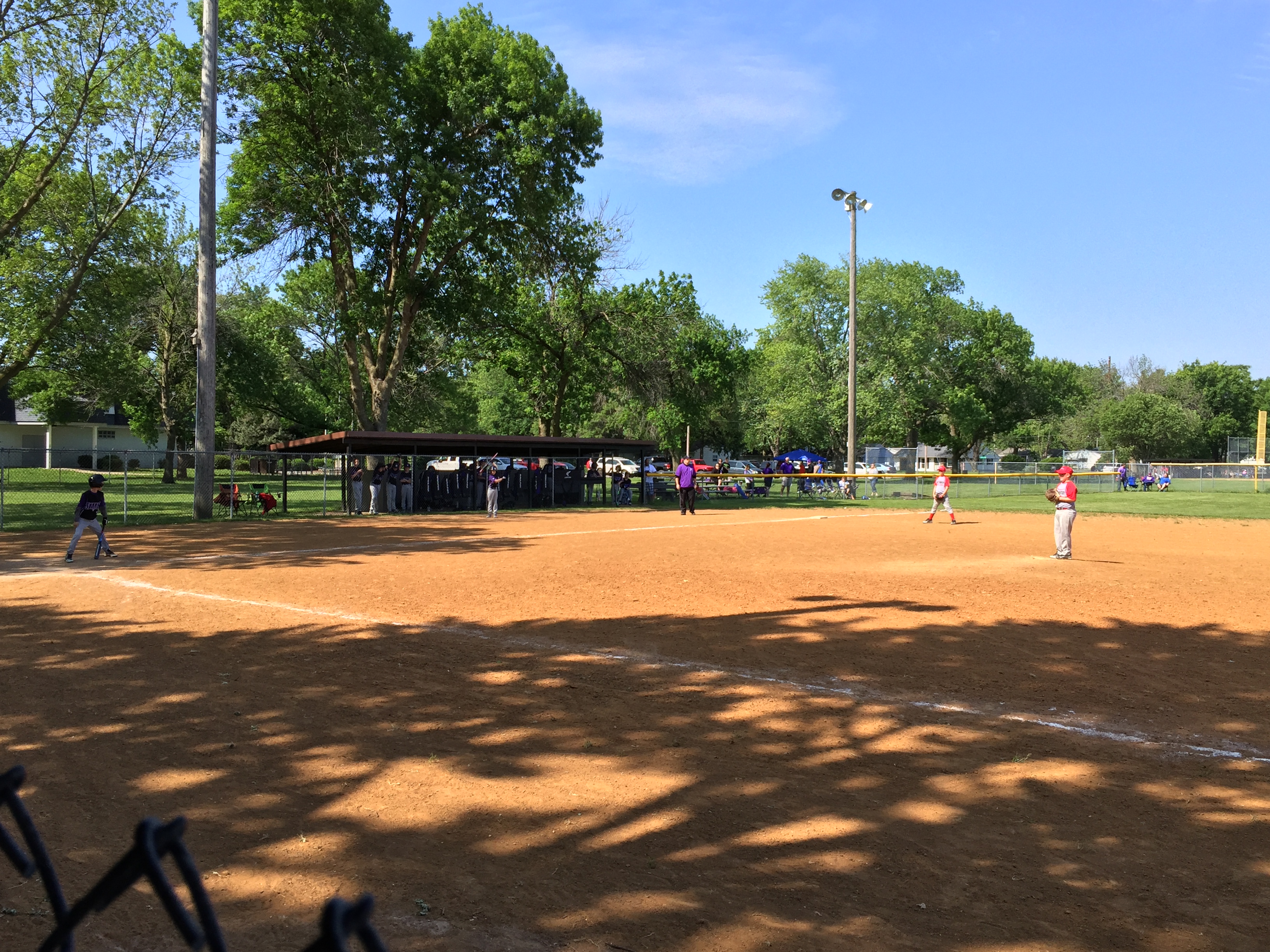 Team Sponsor, Baseball Team Springfield IL