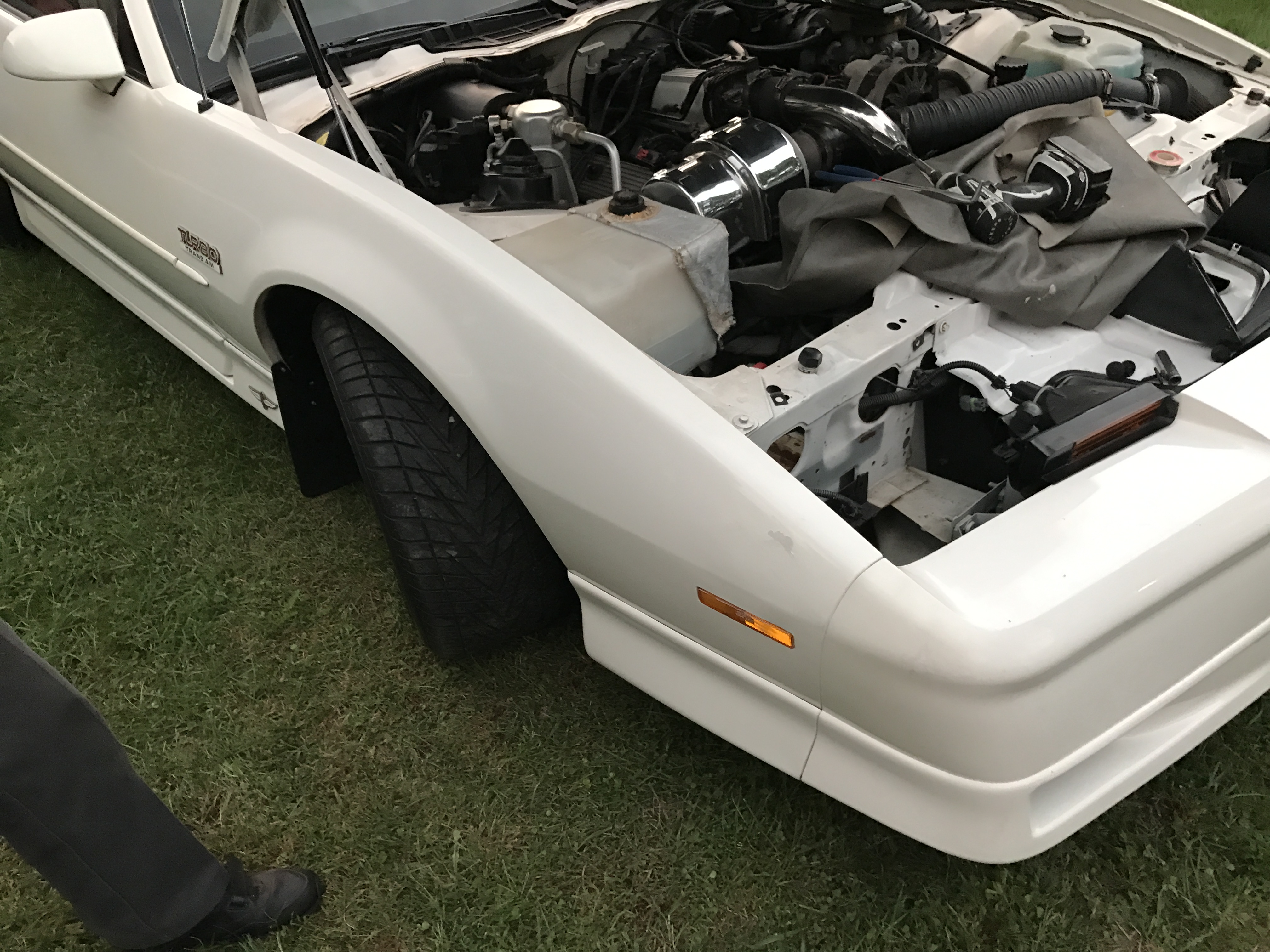 1989 Trans Am Dent Removal Sherman, IL & Springfield IL, Decatur IL