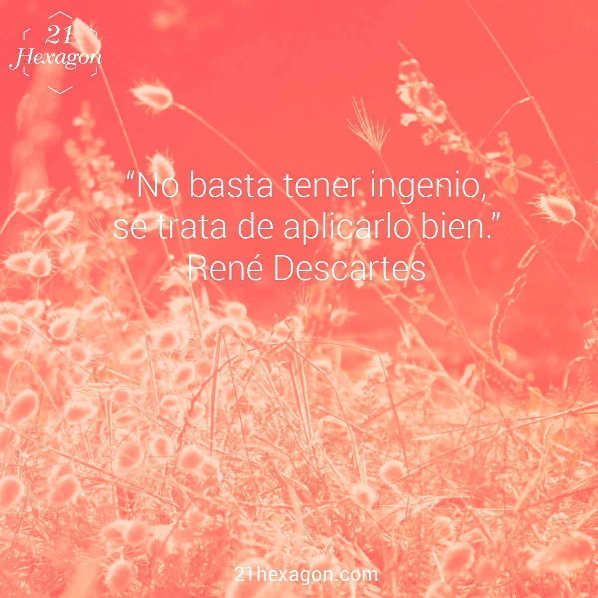 quotes_21hexagon_24.jpg