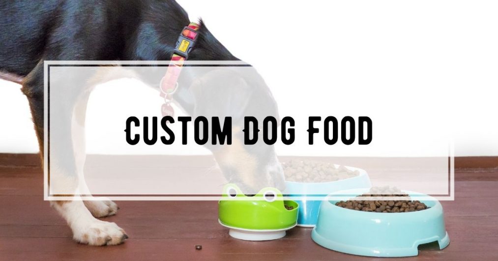 The Best Custom Made Dog Food In 2024 21 Progress