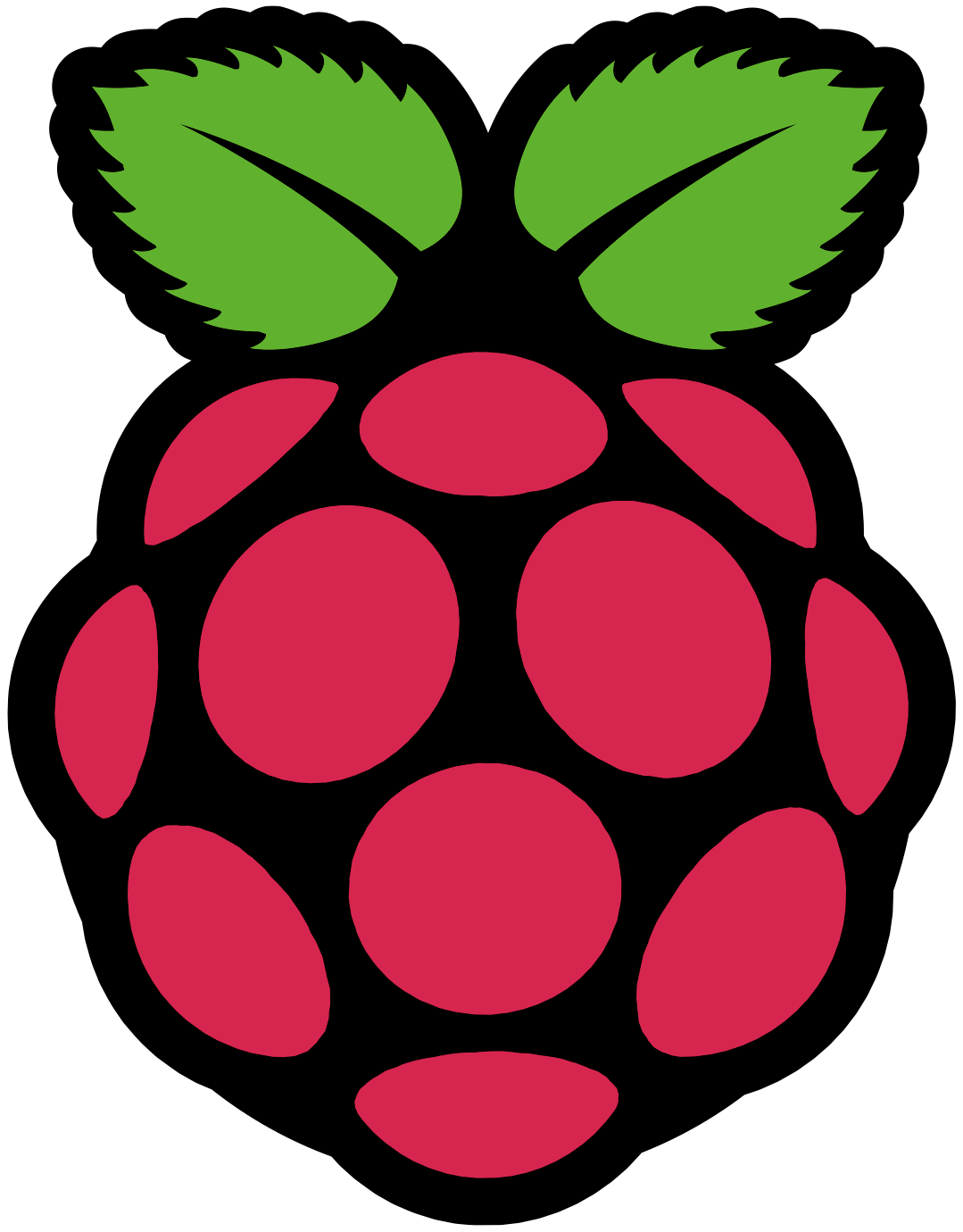 Raspberry Pi Logo Transparent Png Stickpng Images and Photos finder