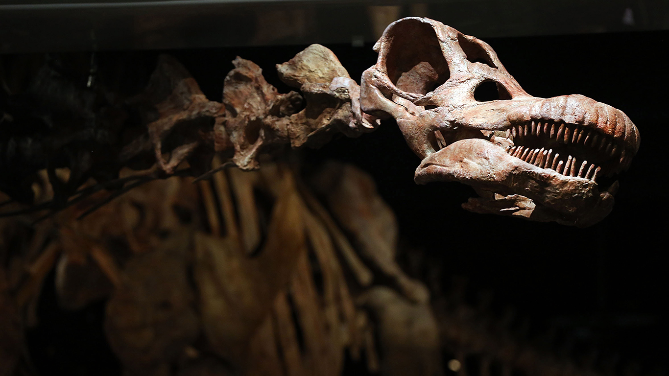 The Most Famous Fossils Ever Discovered 24/7 Tempo